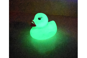 Glow in the Dark Ducks (2) 